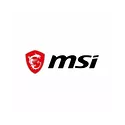 MSI
